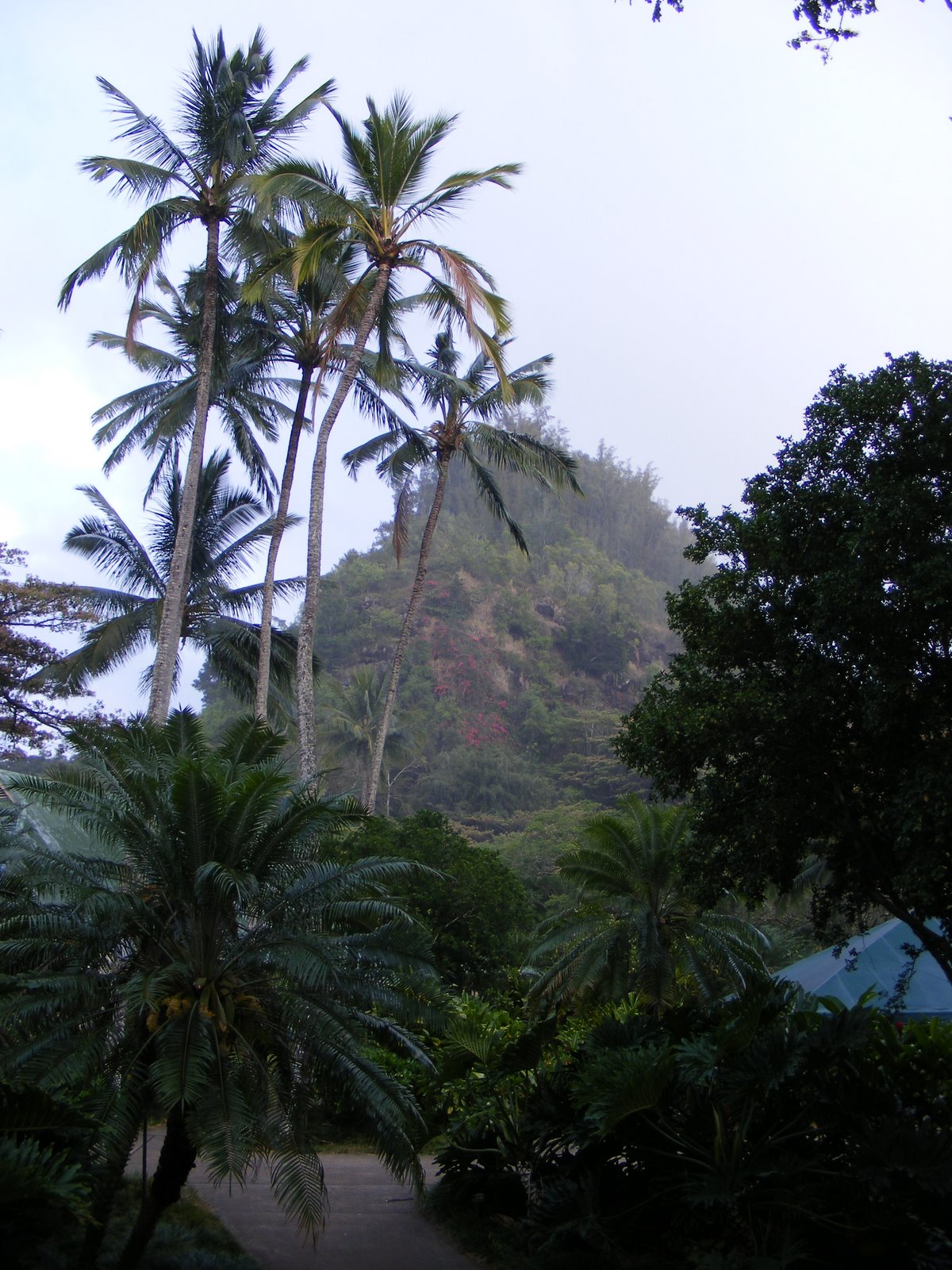 [DSCF5530.JPG]