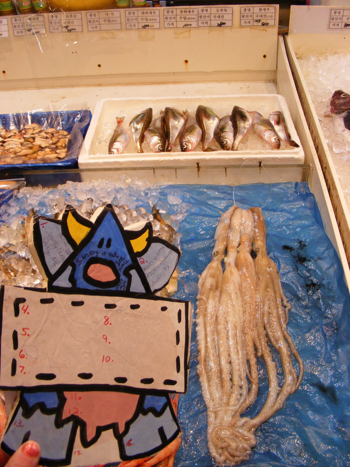 [critteroctopus.JPG]