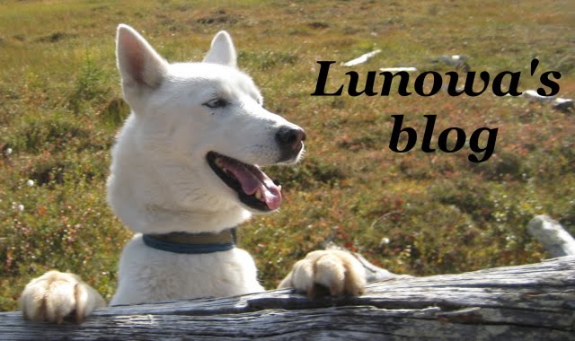 Lunowa's blog
