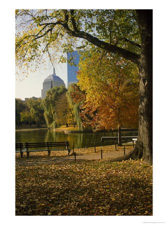 [Public-Gardens-in-the-Fall-Boston-MA-Photographic-Print-C12140559.jpeg]