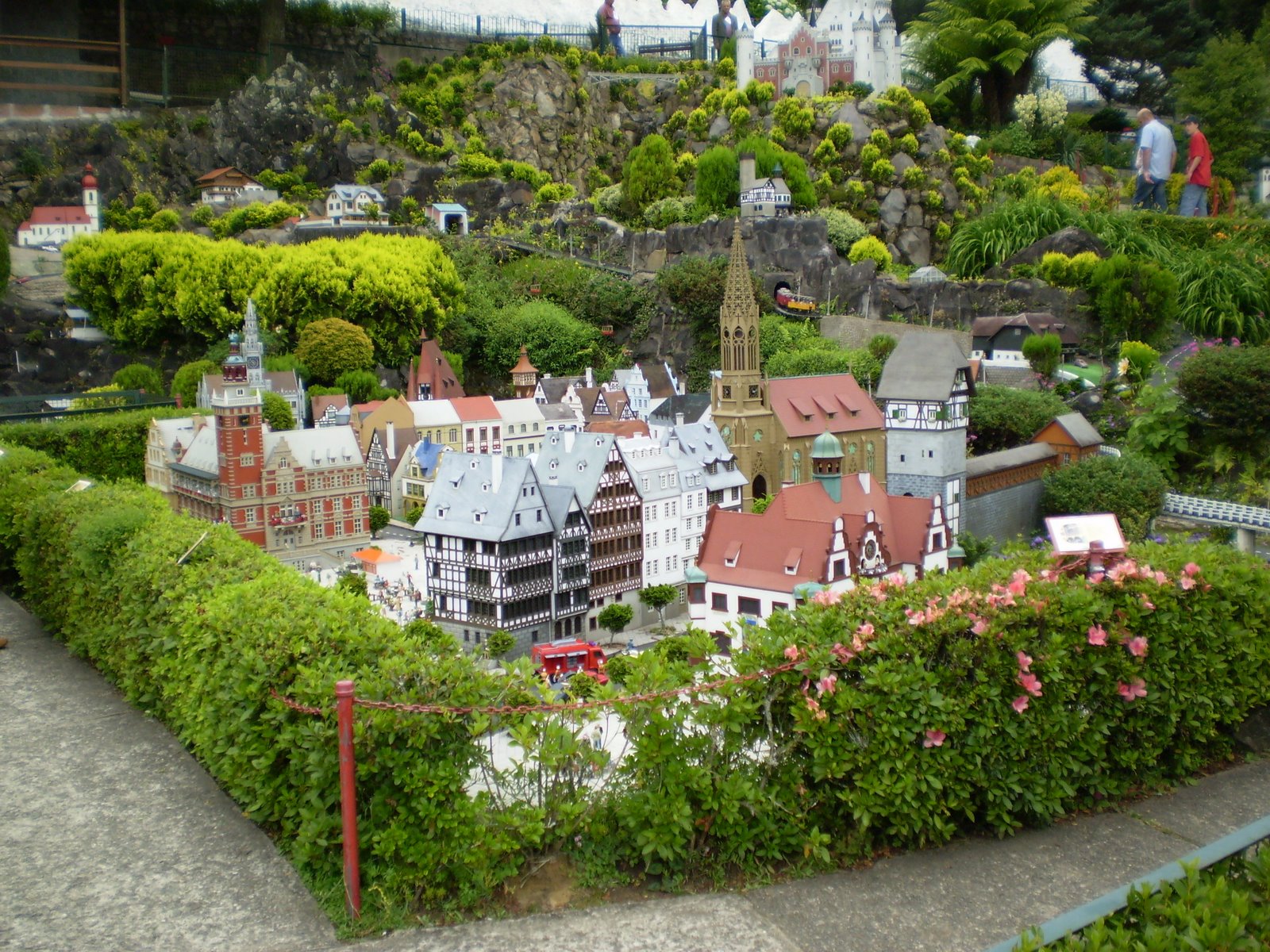 [PB240049.JPG]