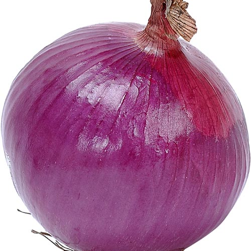 Onion Health