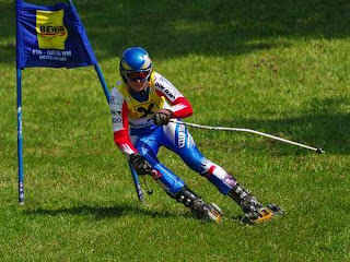 Amazing Photos: Amazing Grass Skiing