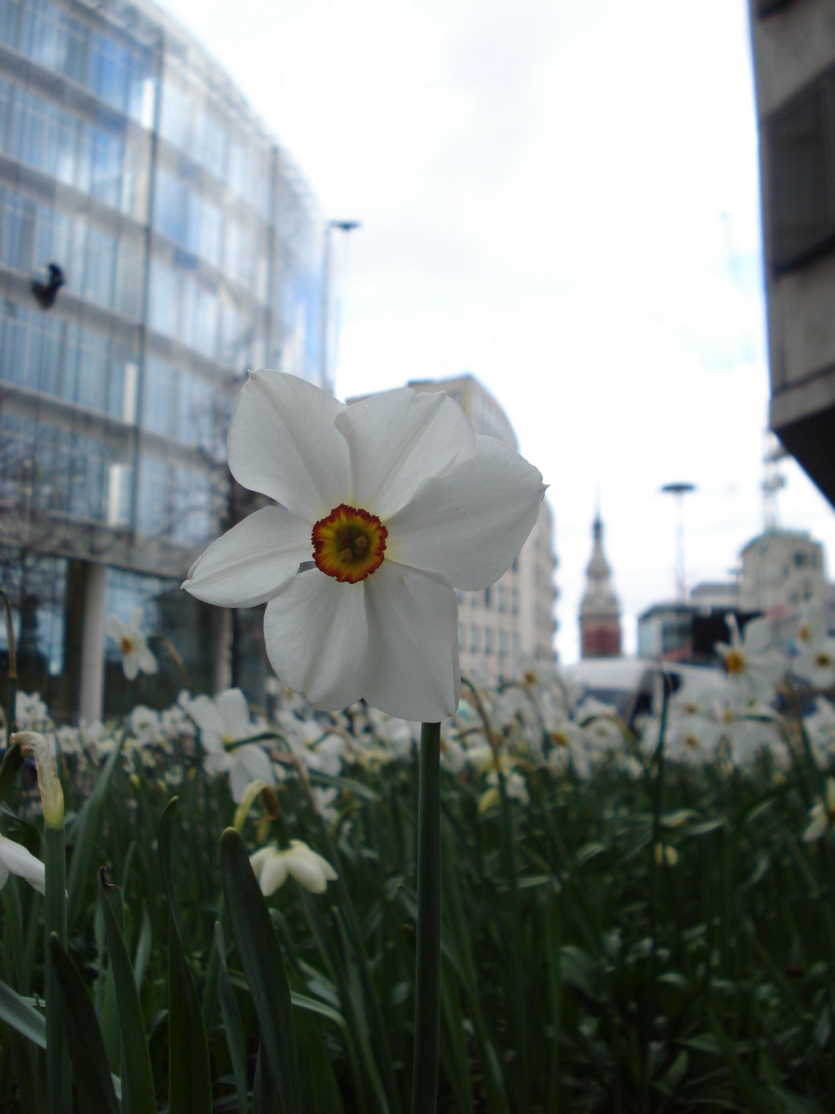 [london3.JPG]