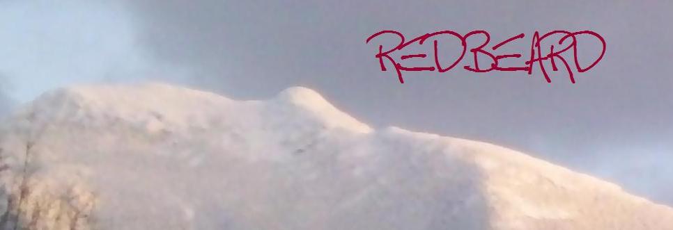Redbeard