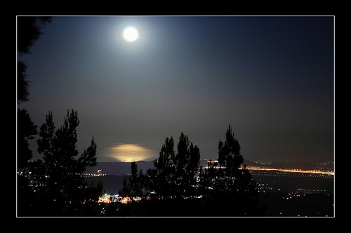 τζούλια