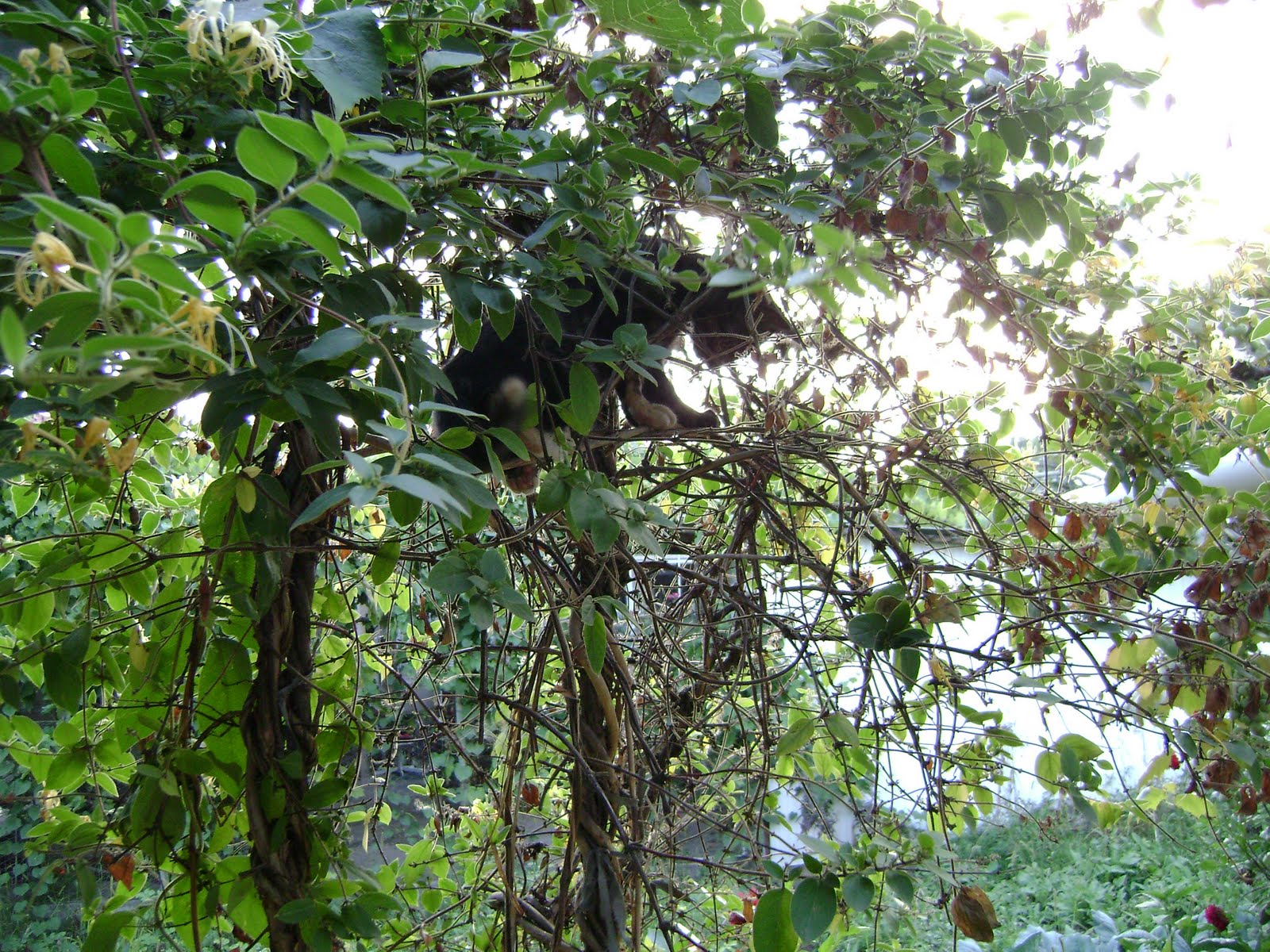 [DSC04596.JPG]