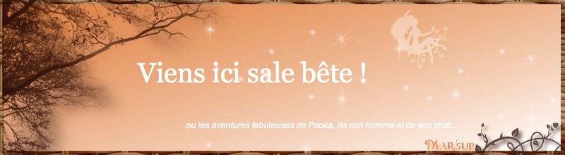 Viens ici sale bête !