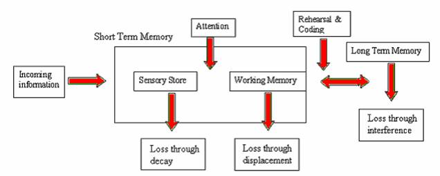 Memory System