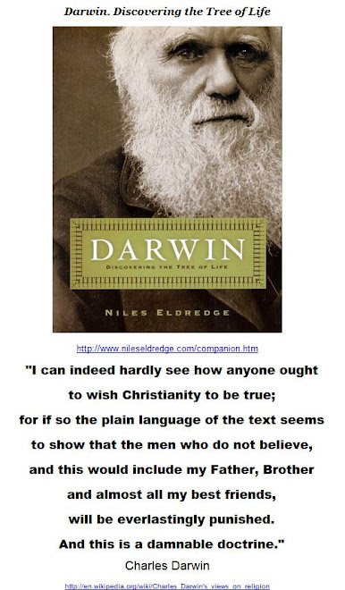 I can indeed hardly see how anyone ought to wish Christianity to be true