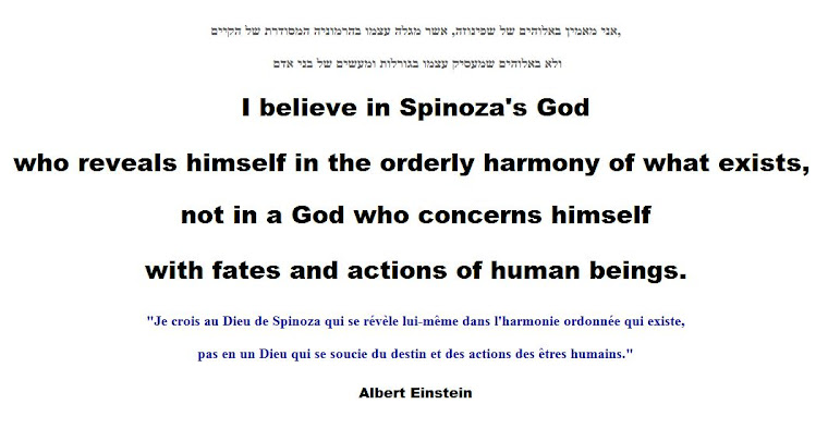 I believe in Spinoza's God.
