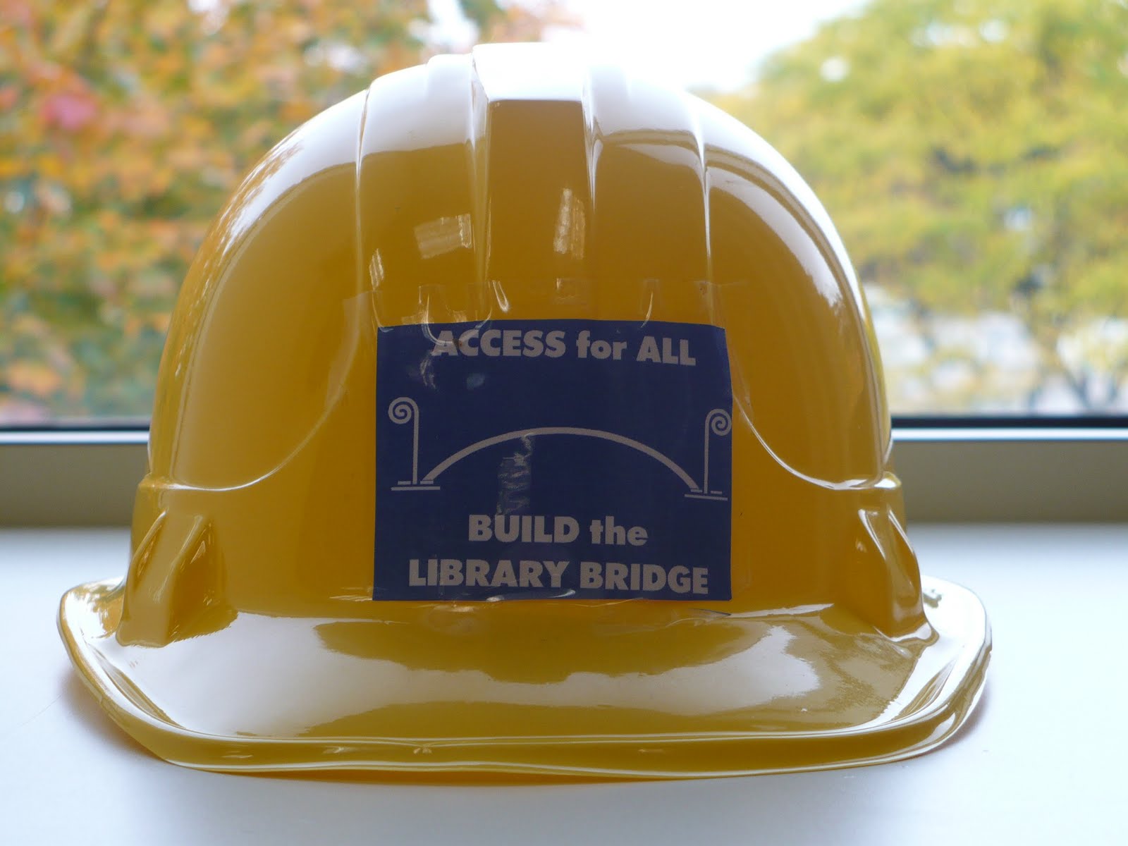[Library_Hat.jpg]
