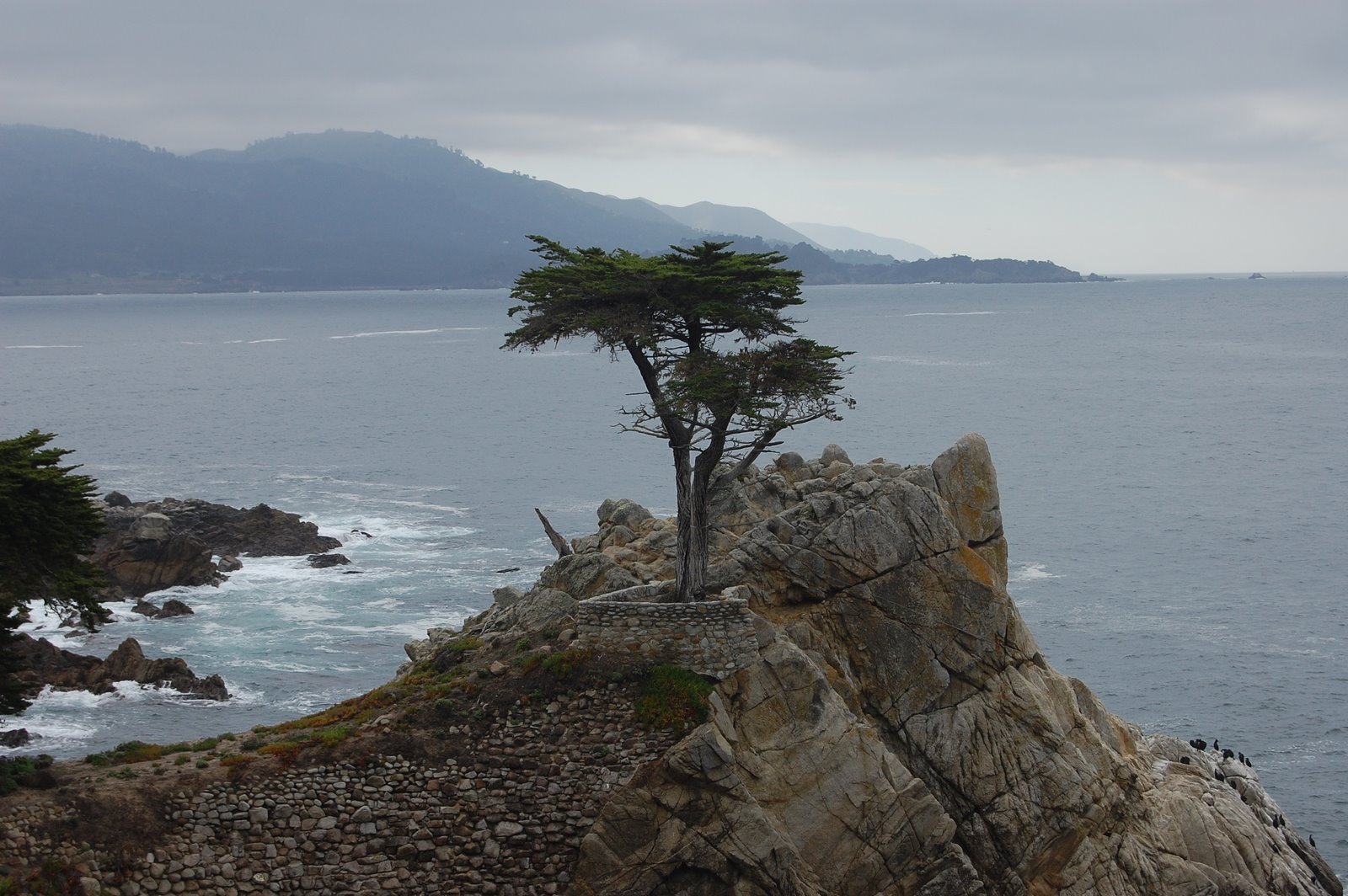 [monterey33.JPG]