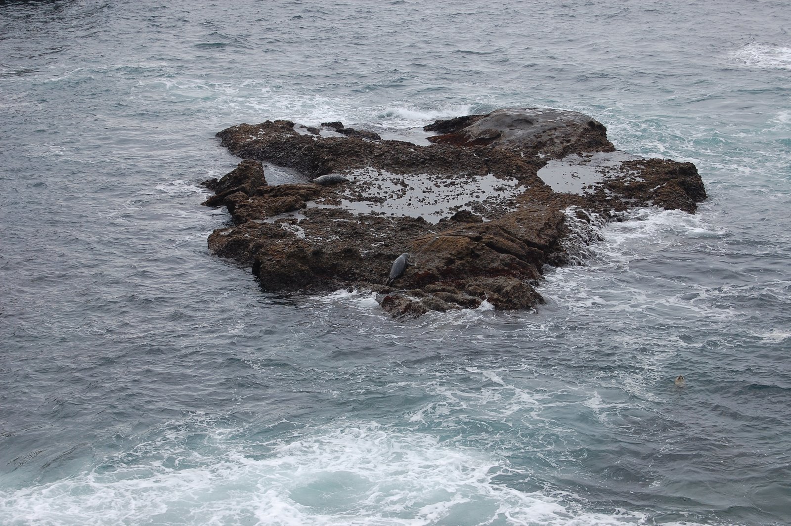[monterey42.JPG]