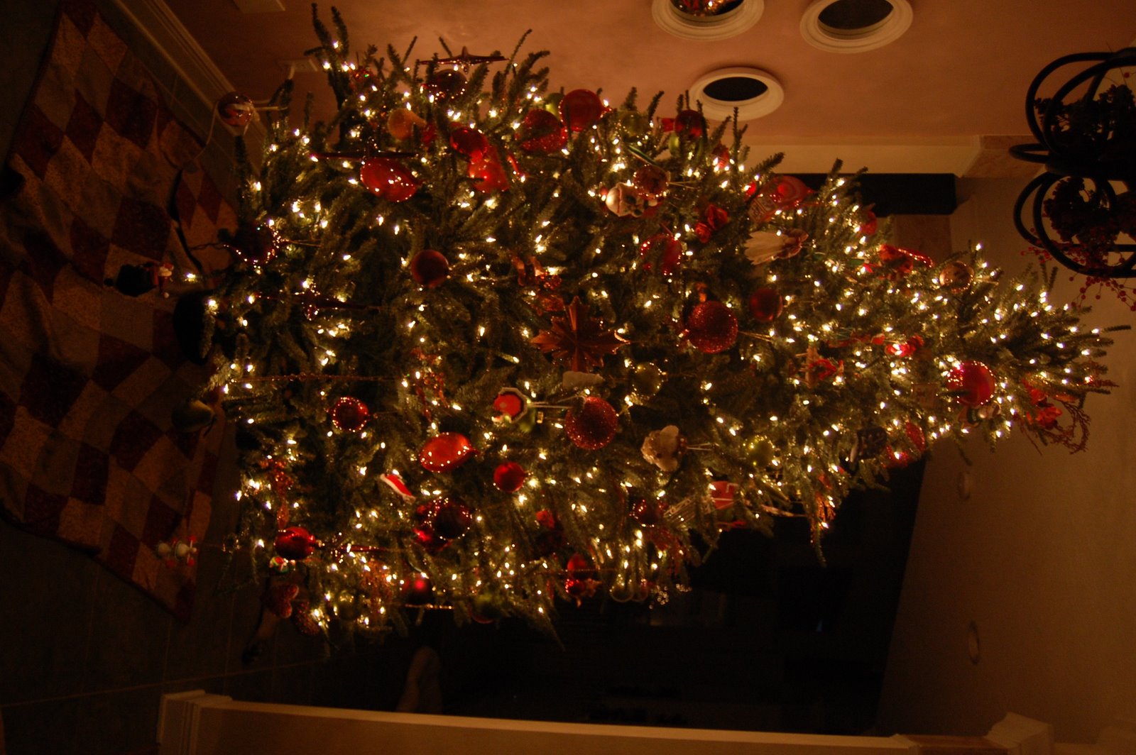 [xmastree2007.jpg]