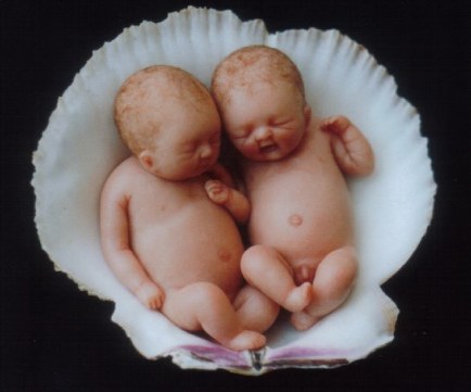 [babies9.jpg]