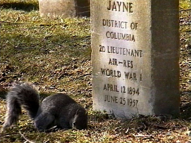 [grave6.JPG]