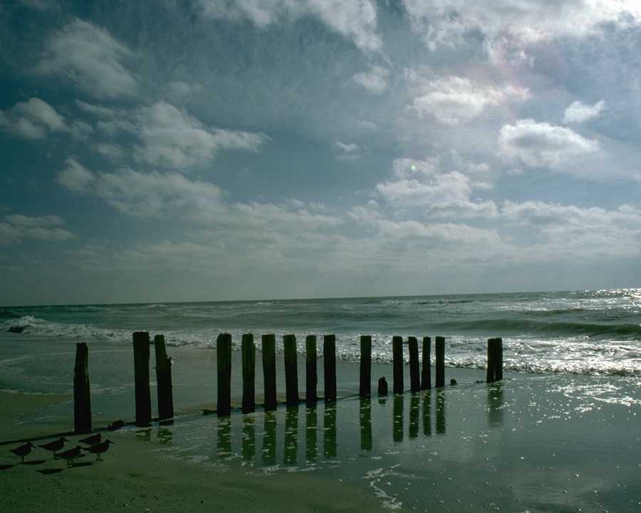 [Sand+&+Sea+07.jpg]