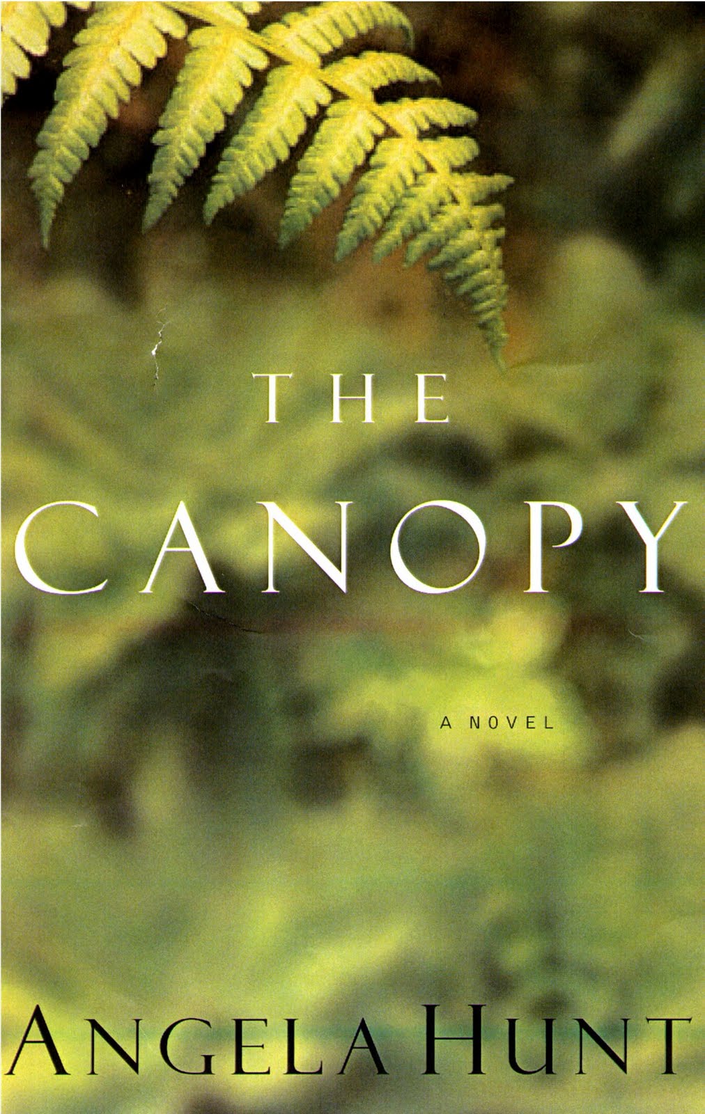 [The+Canopy.JPG]