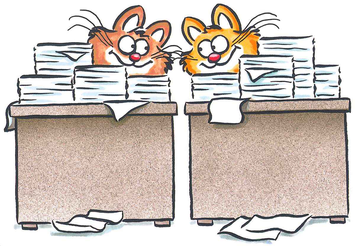 [Cats+at+Desks.jpg]