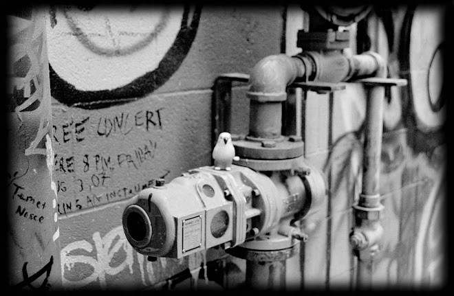 constructed realities