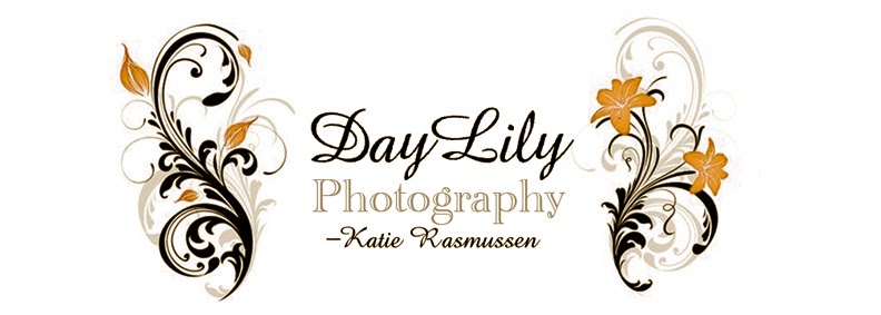 DayLily Photography