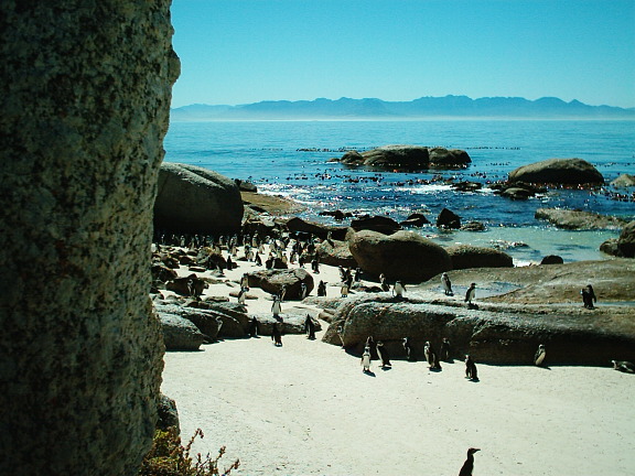 [sa+cape+021.jpg]