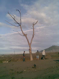 Merapi Picture