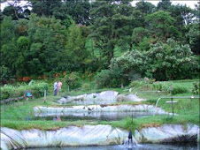 Pesca recreativa/ Recreative fishing