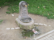 FOTO 2009