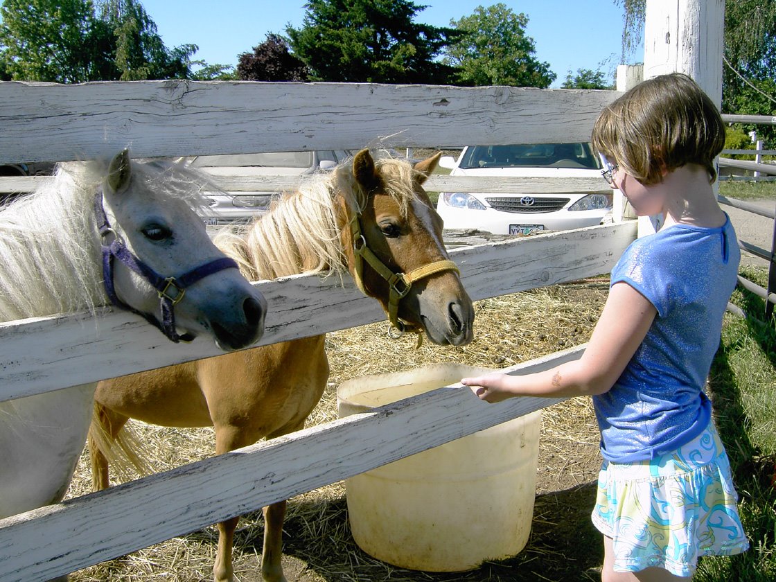 [Cassie+feeding+ponies.JPG]
