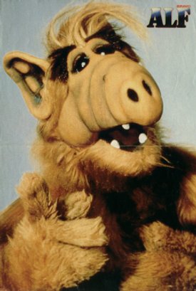 [alf.jpg]