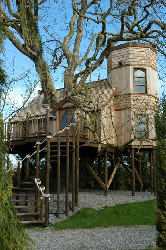 [cool-treehouse-32.jpg]
