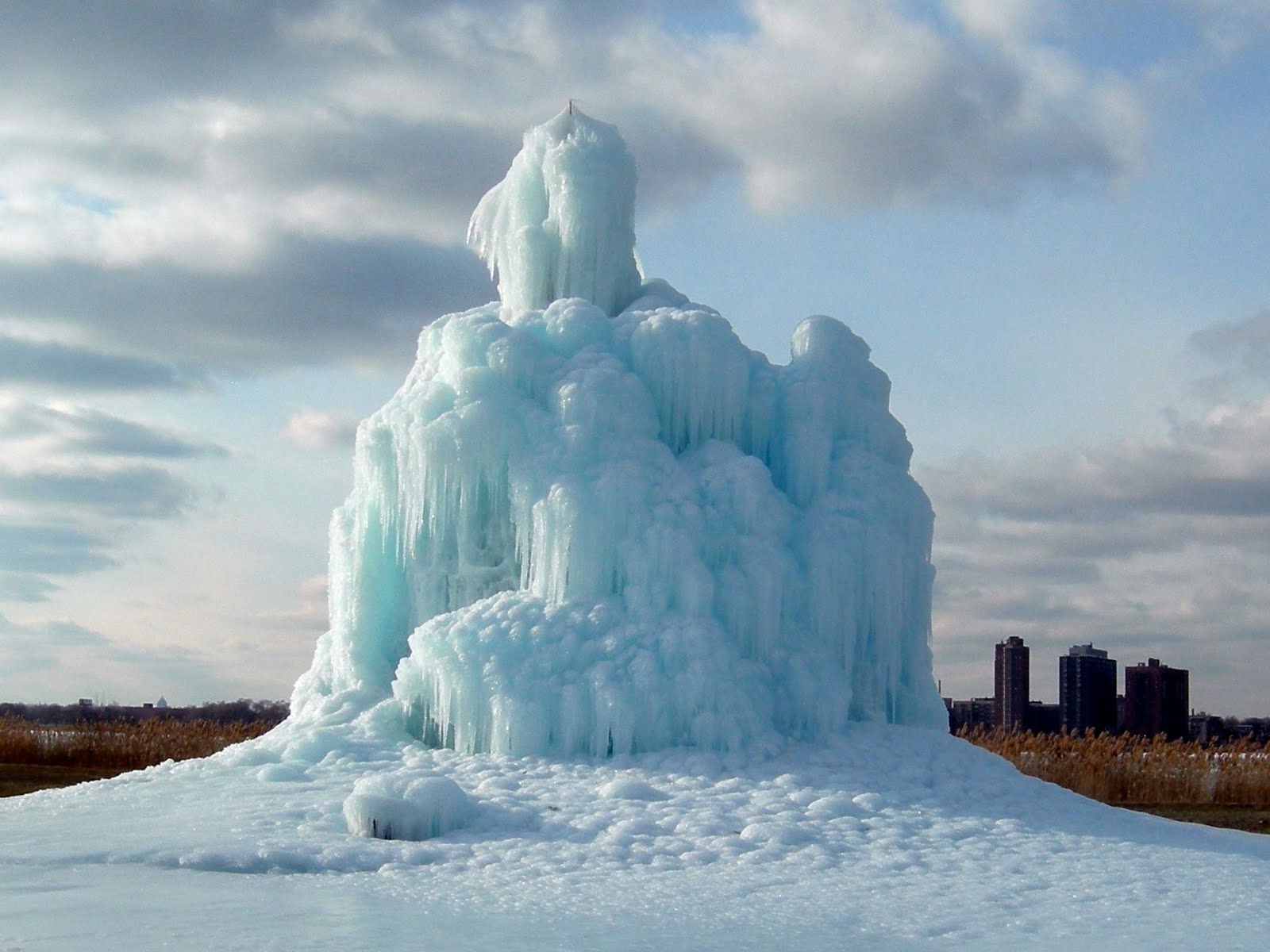 11 Trees Covered in Ice ~ Now That’s Nifty