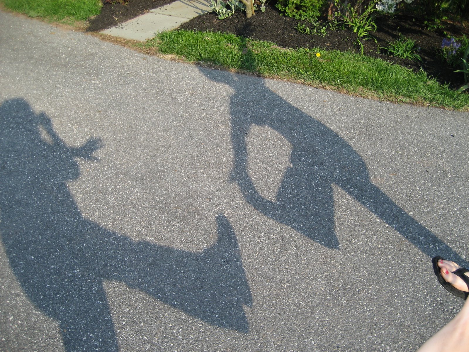 [IMG_0065.JPG]