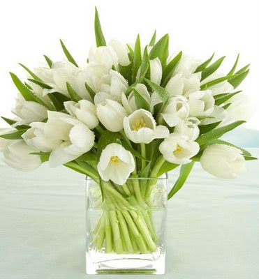white%2Btulips.jpg
