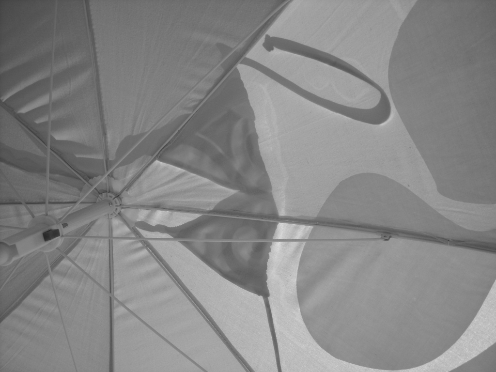 [DSCN0681.JPG]