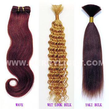 hair extension program hair extension program