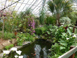 In the Temperate Zone at Myerscough College Plant World