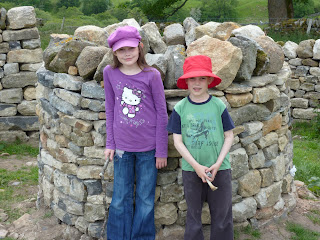 Dry-stone wishing well and walling by New House (Holly & Chris)