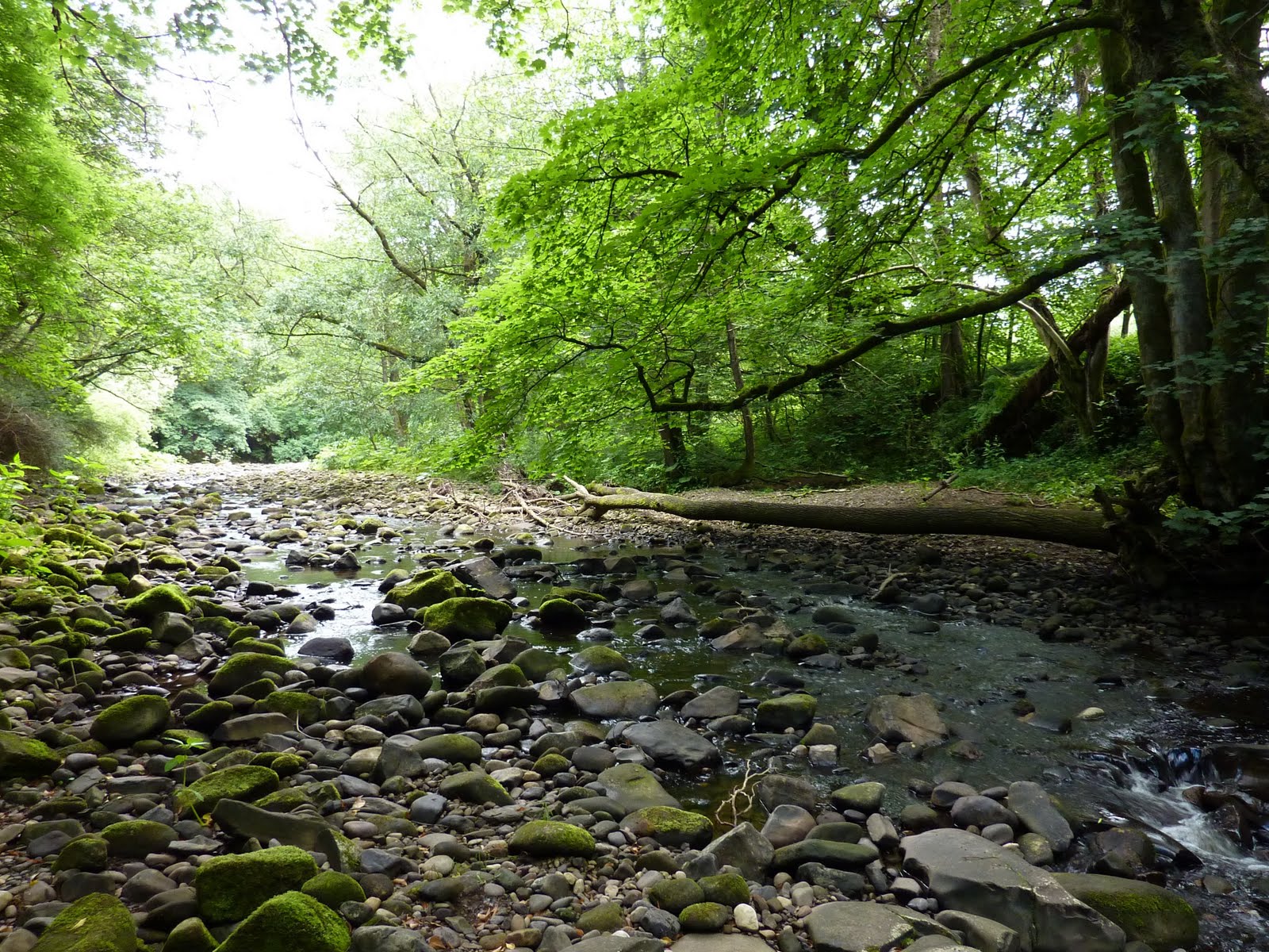 Lost in Bowland: Brock Valley Picnic Site and Brock Bottoms