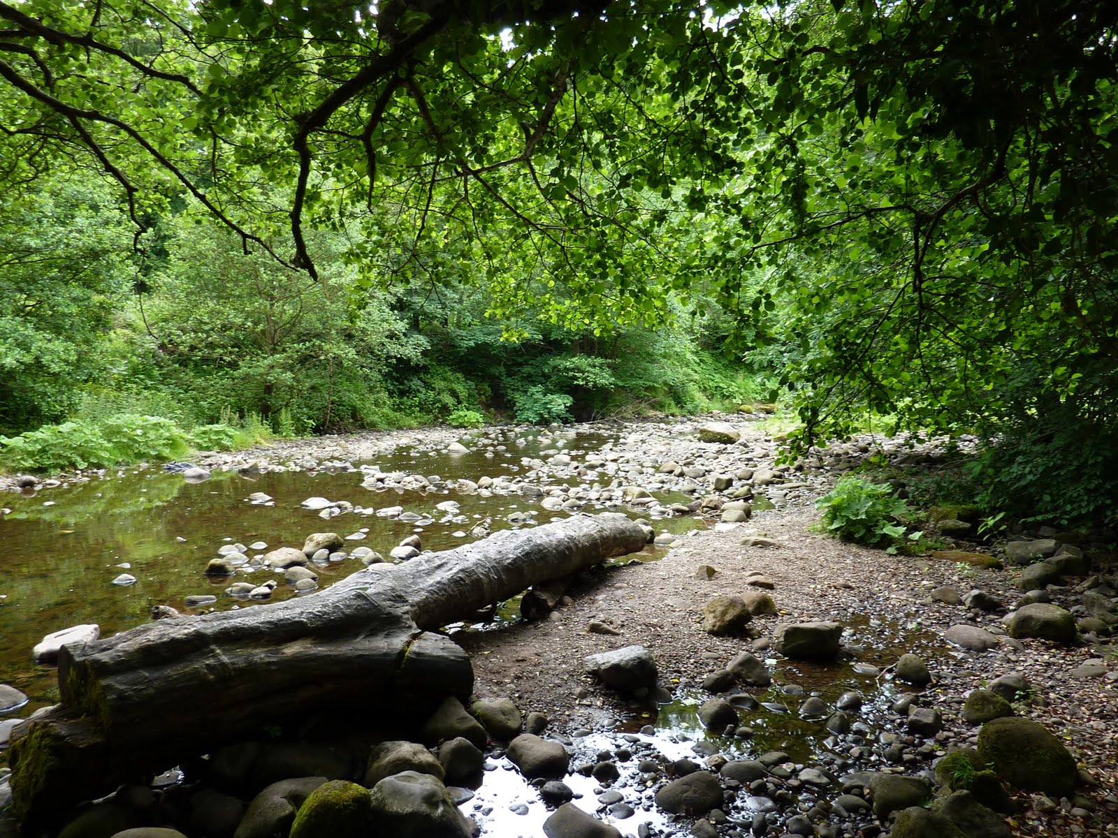 Lost in Bowland: Brock Valley Picnic Site and Brock Bottoms