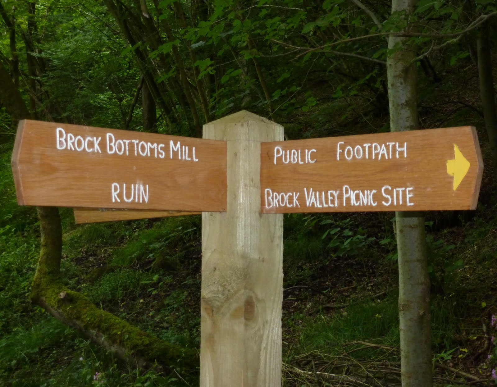 Lost in Bowland: Brock Valley Picnic Site and Brock Bottoms