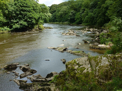 River Ribble at Marles Wood