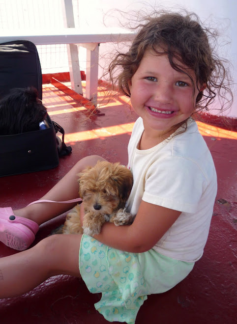 DO HAVANESE GET ALONG WITH CHILDREN?