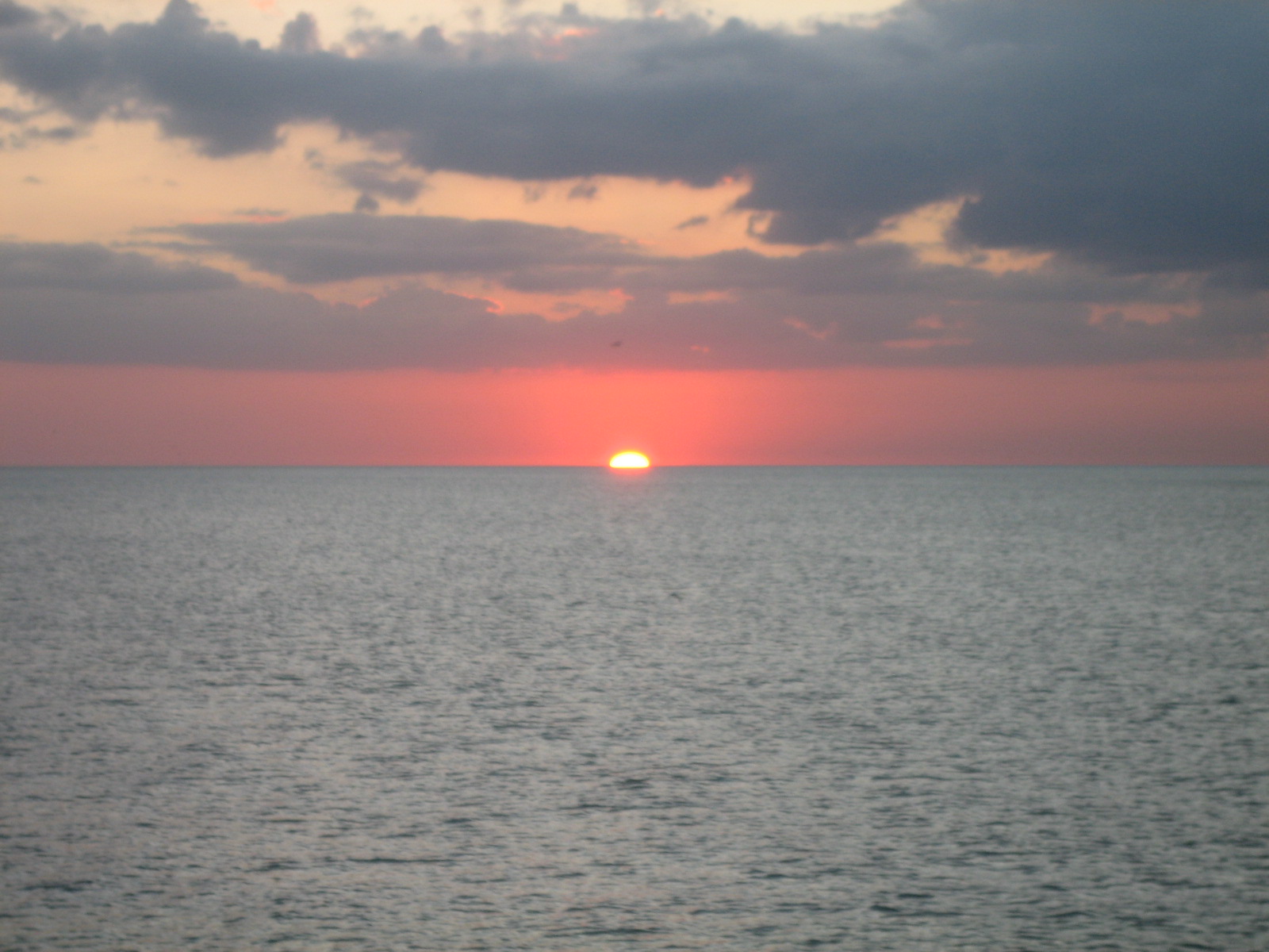 [IMG_2622.JPG]