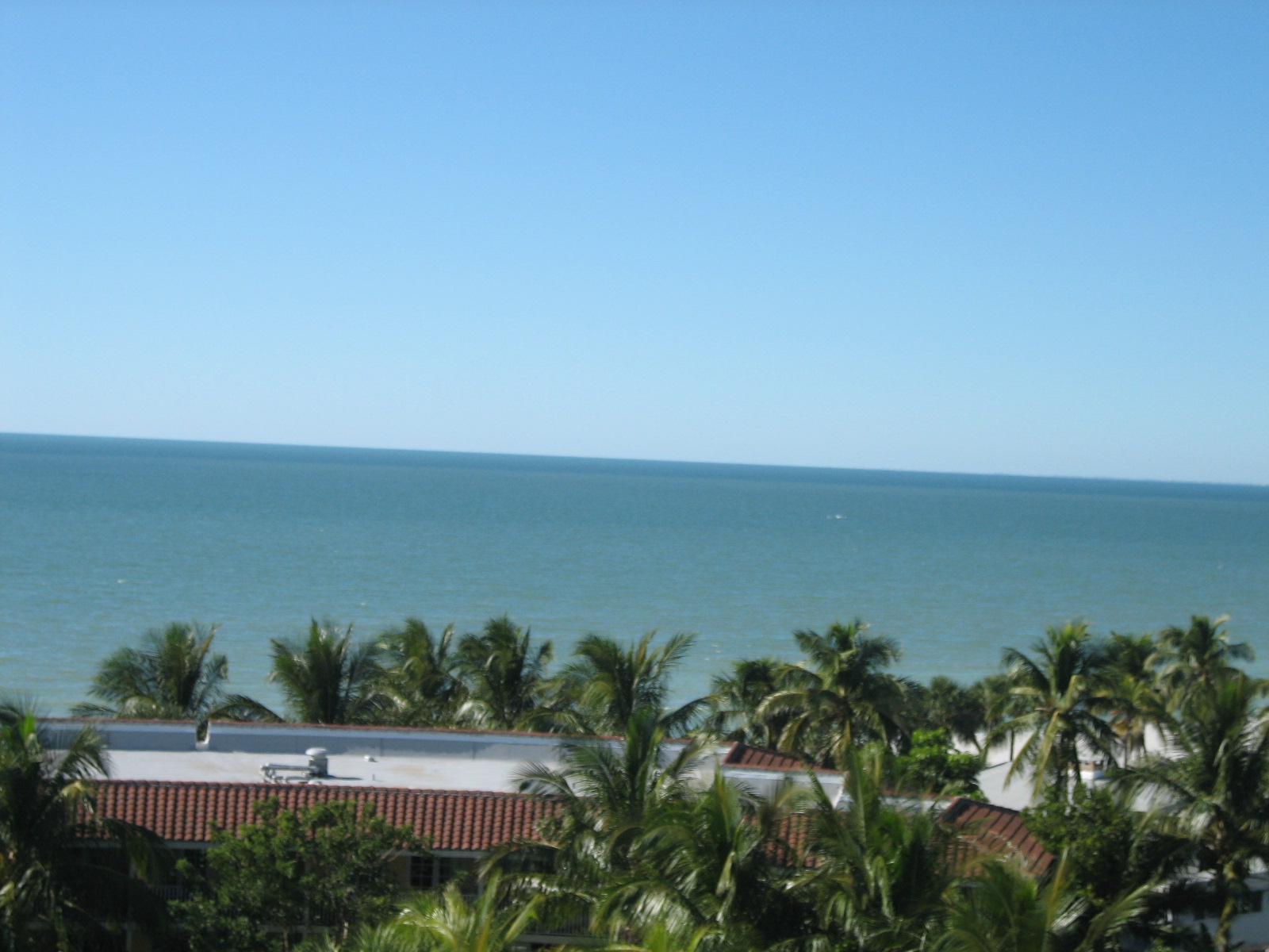 [IMG_2383.JPG]