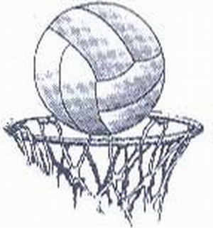 external image NetballAndRing.jpg
