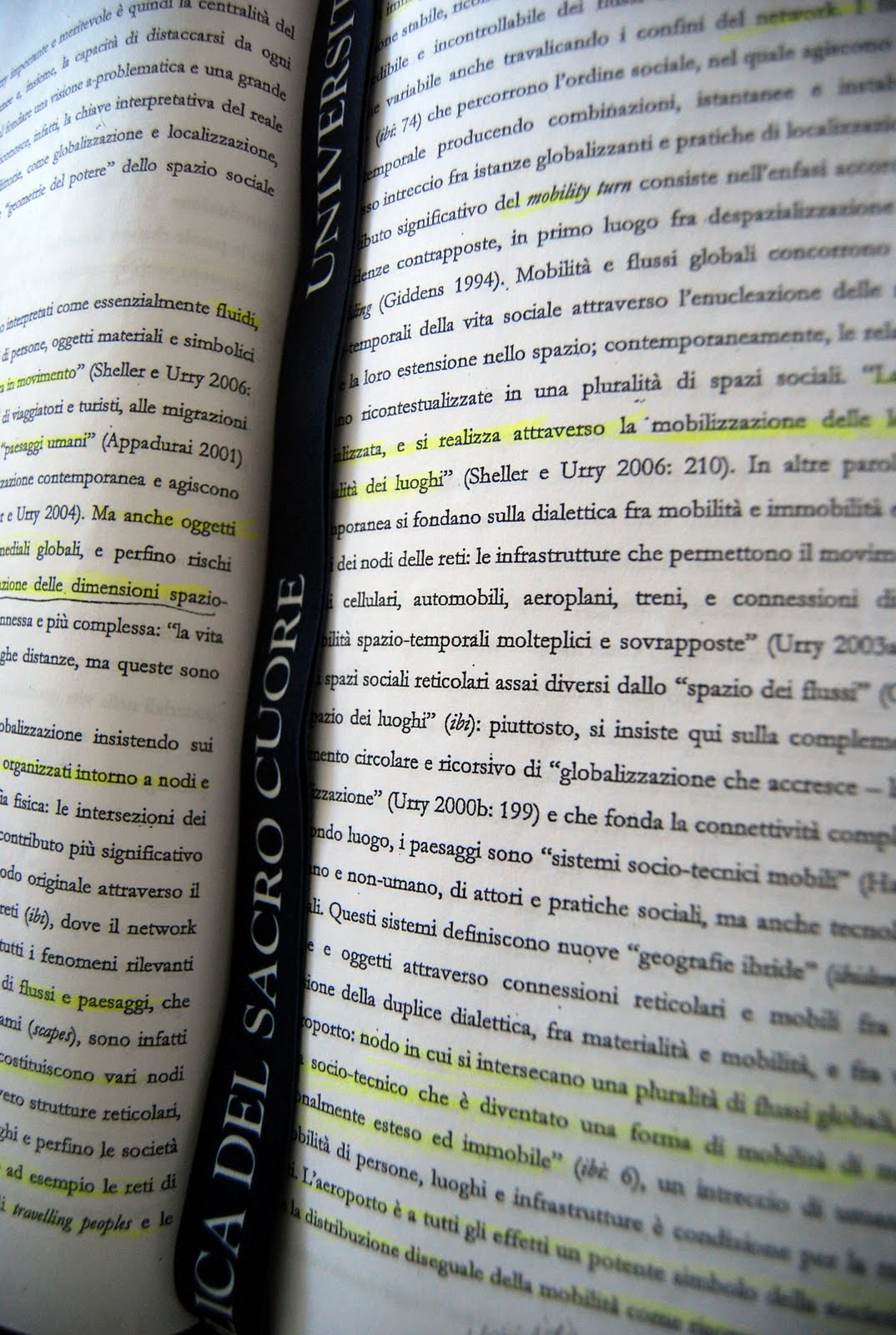 [DSC_0350.JPG]