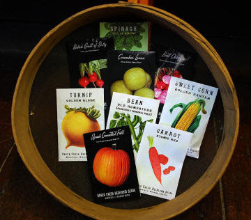 Seed Food